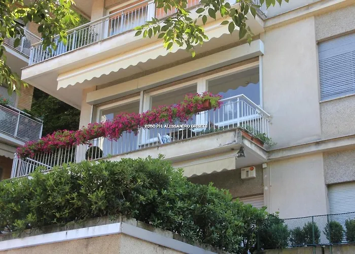 Paradisett Oda ve Kahvaltı 4*